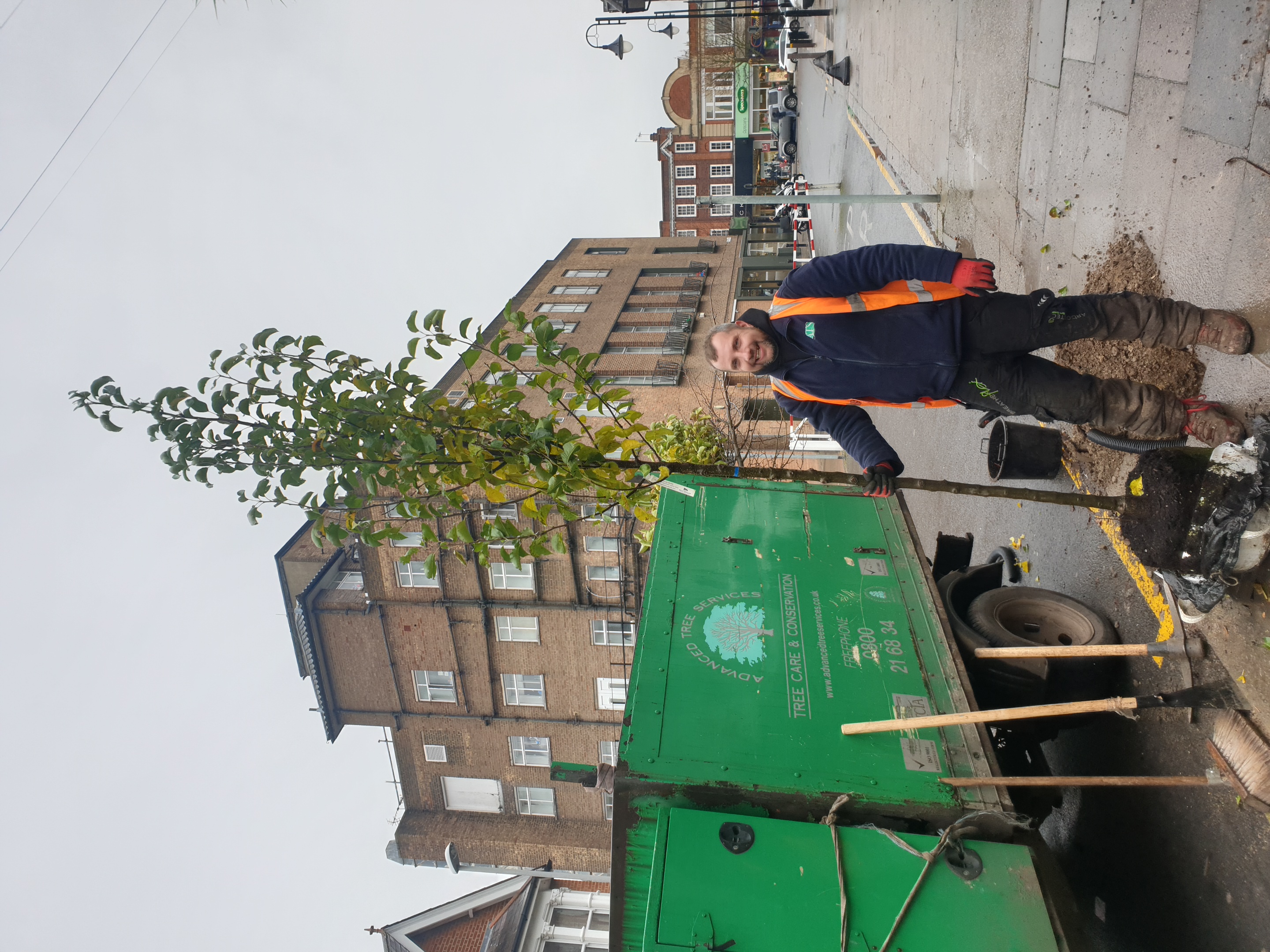 Kingston Council officer planting one of the new trees as part of the Winter Tree planting programme.
