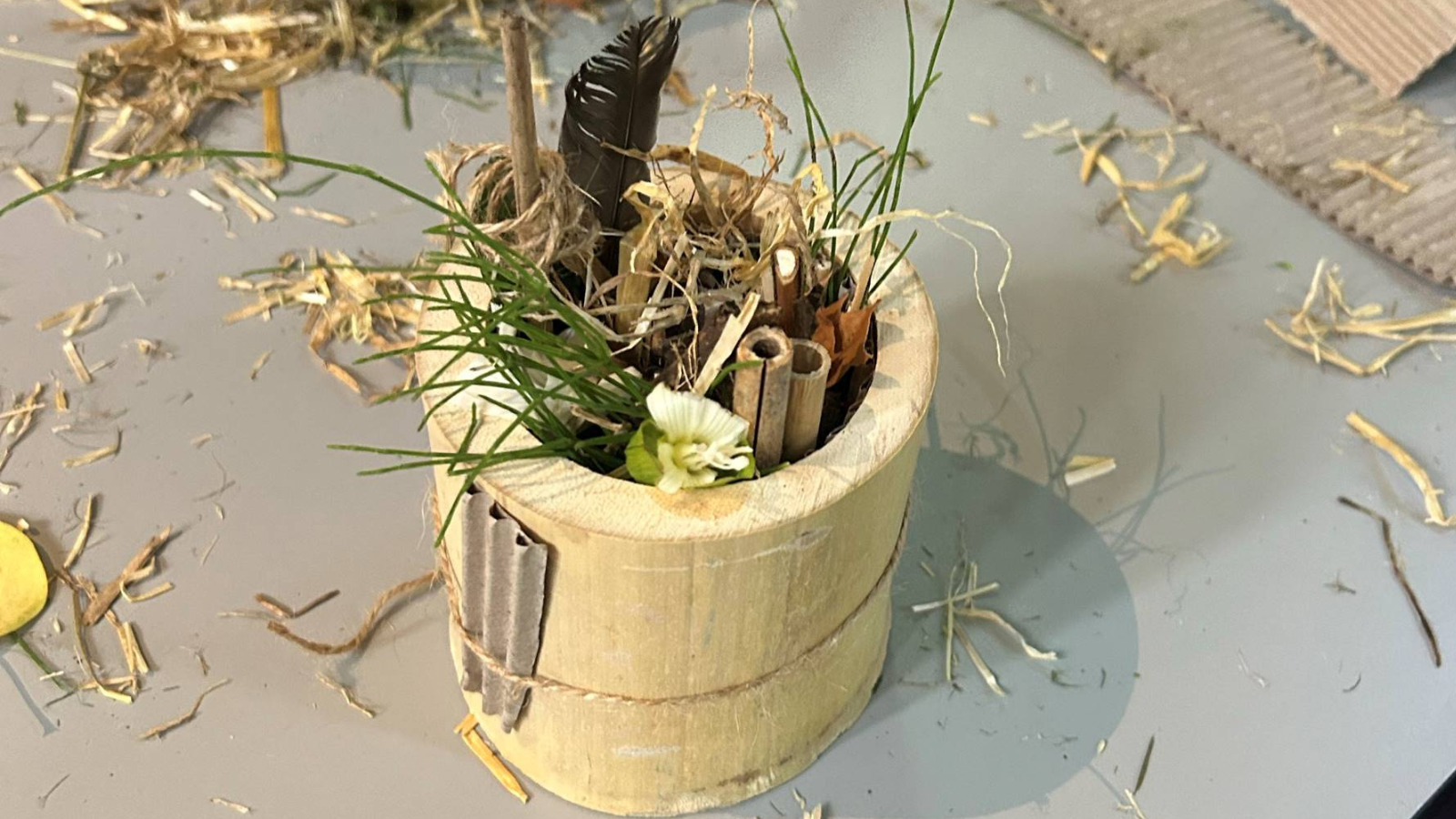 B piece of bamboo stuffed with twigs has been created as a miniature bug hotel