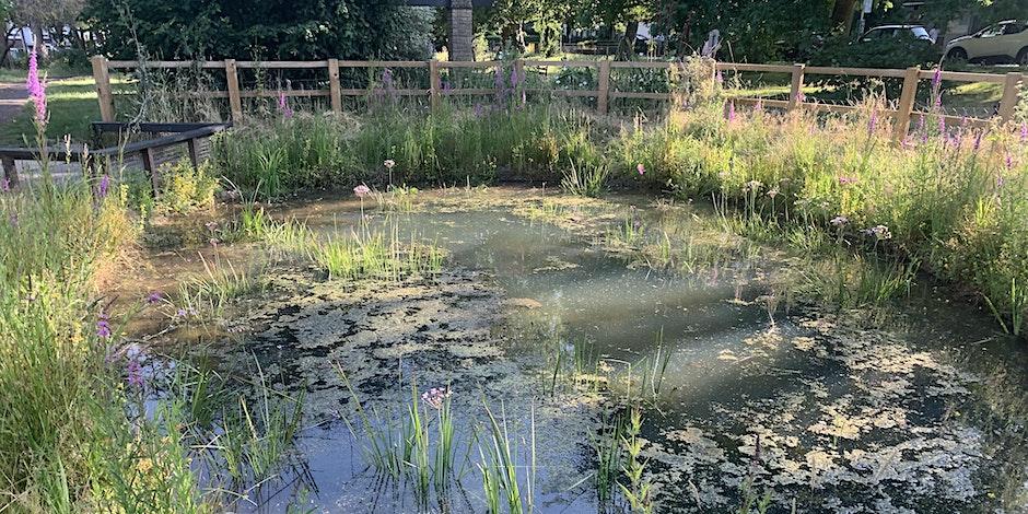 Claremont pond
