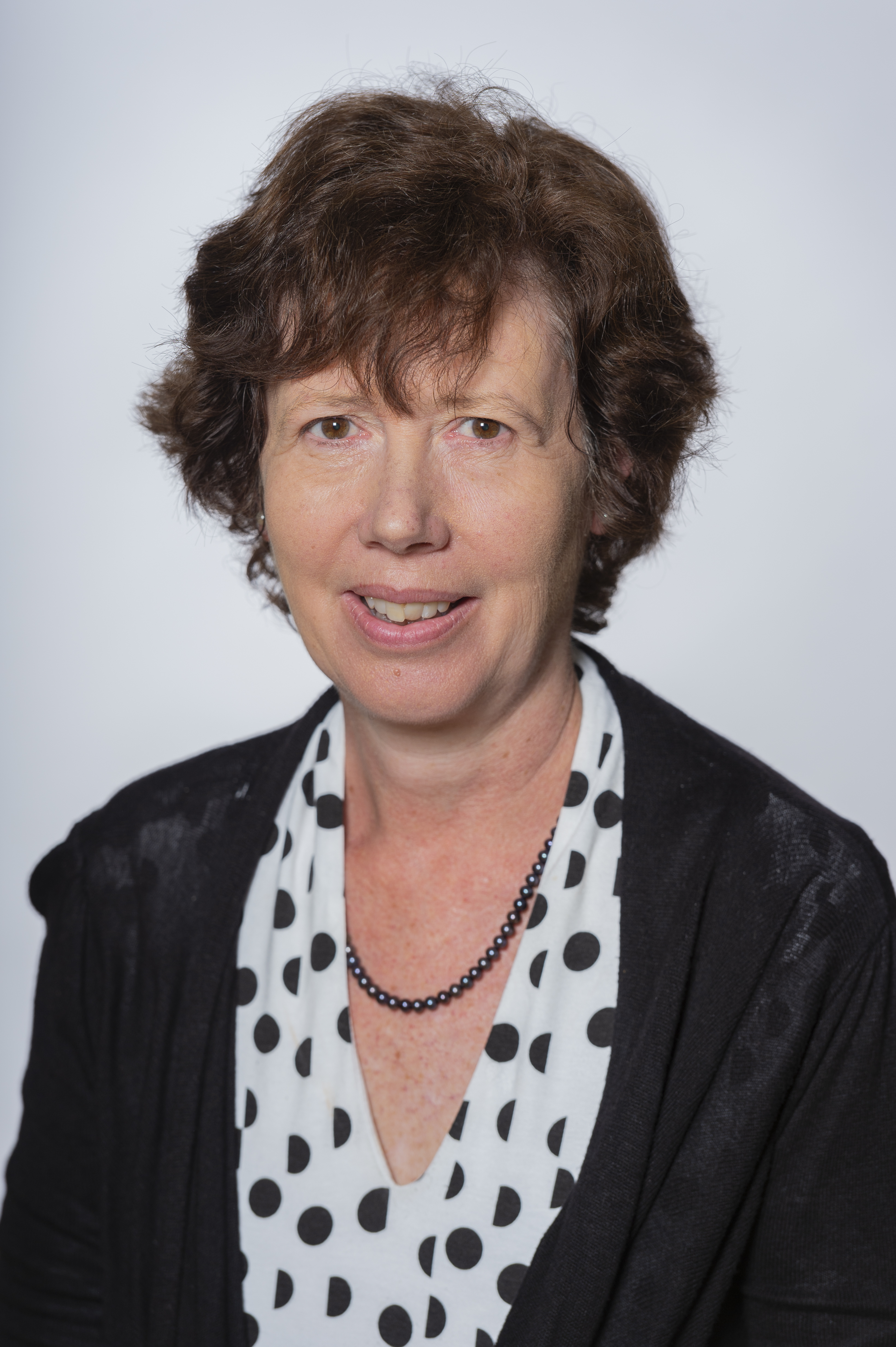 Councillor Diane White, Portfolio Holder for Children's Services including Education