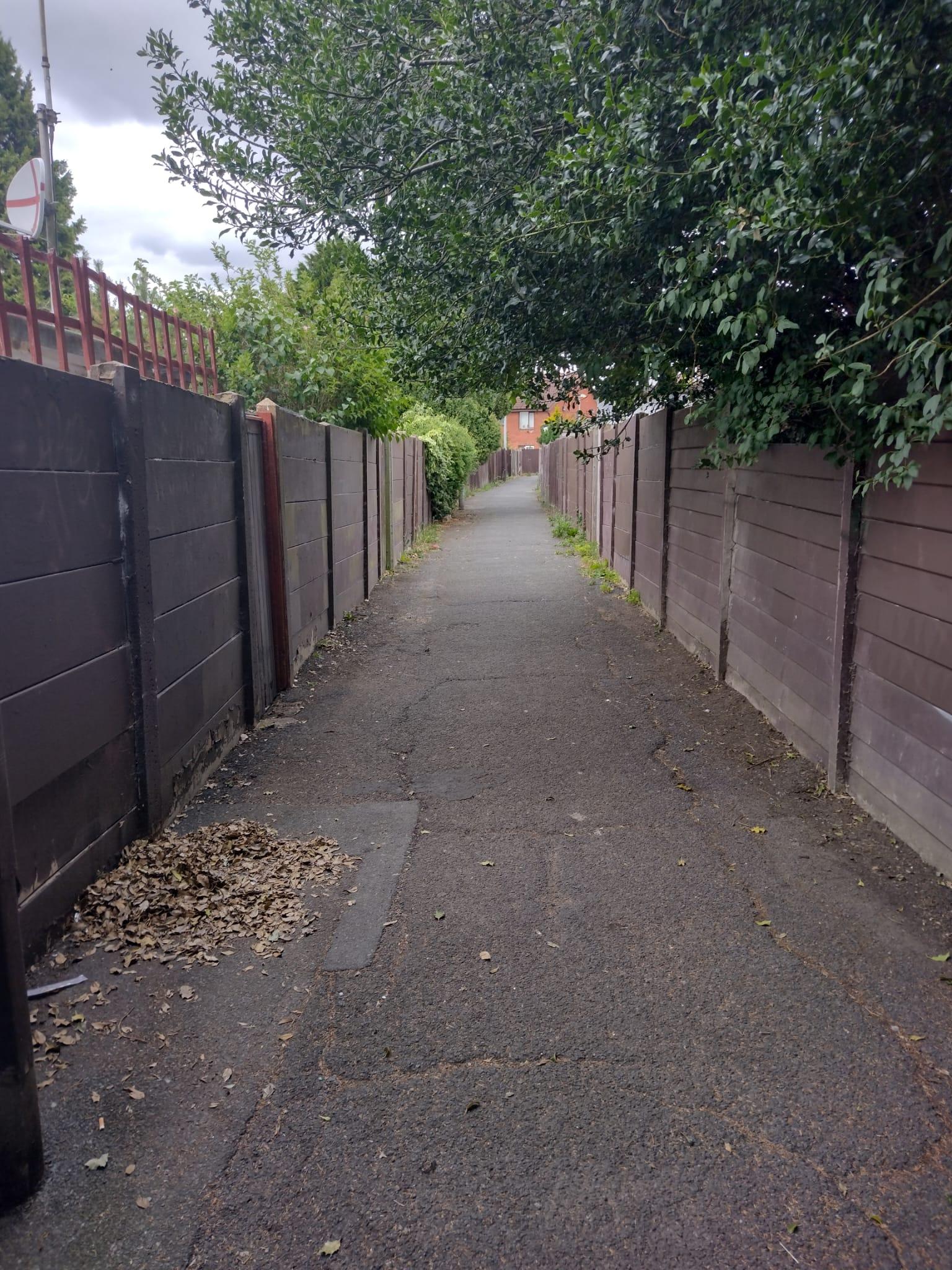 Donkey Alley in Norbiton after its clean-up