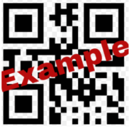 Image shows QR code with the word example across it in red.