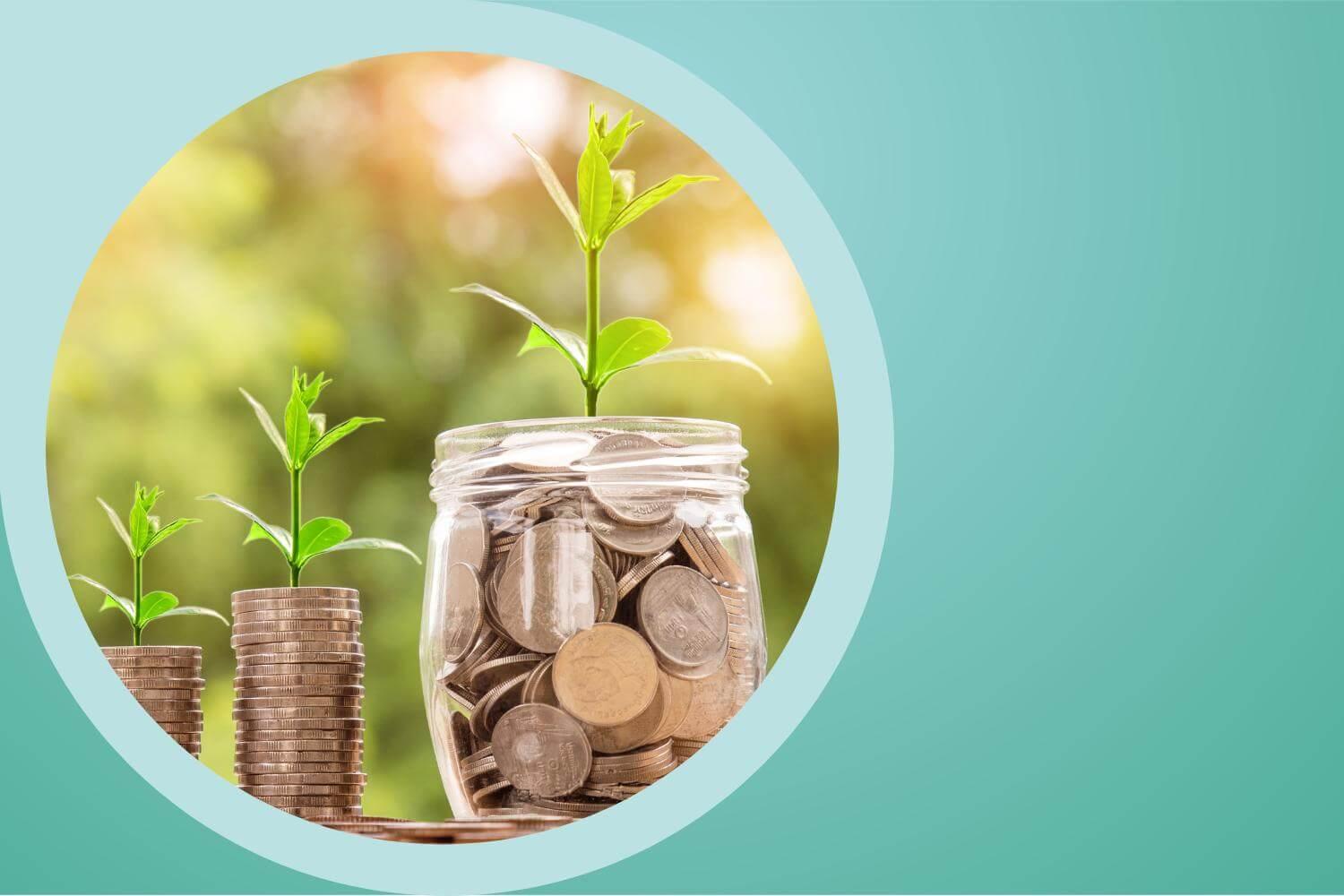 Three glass jars are lined up in a row. Each contains coins from which green shoots of a plant are growing.