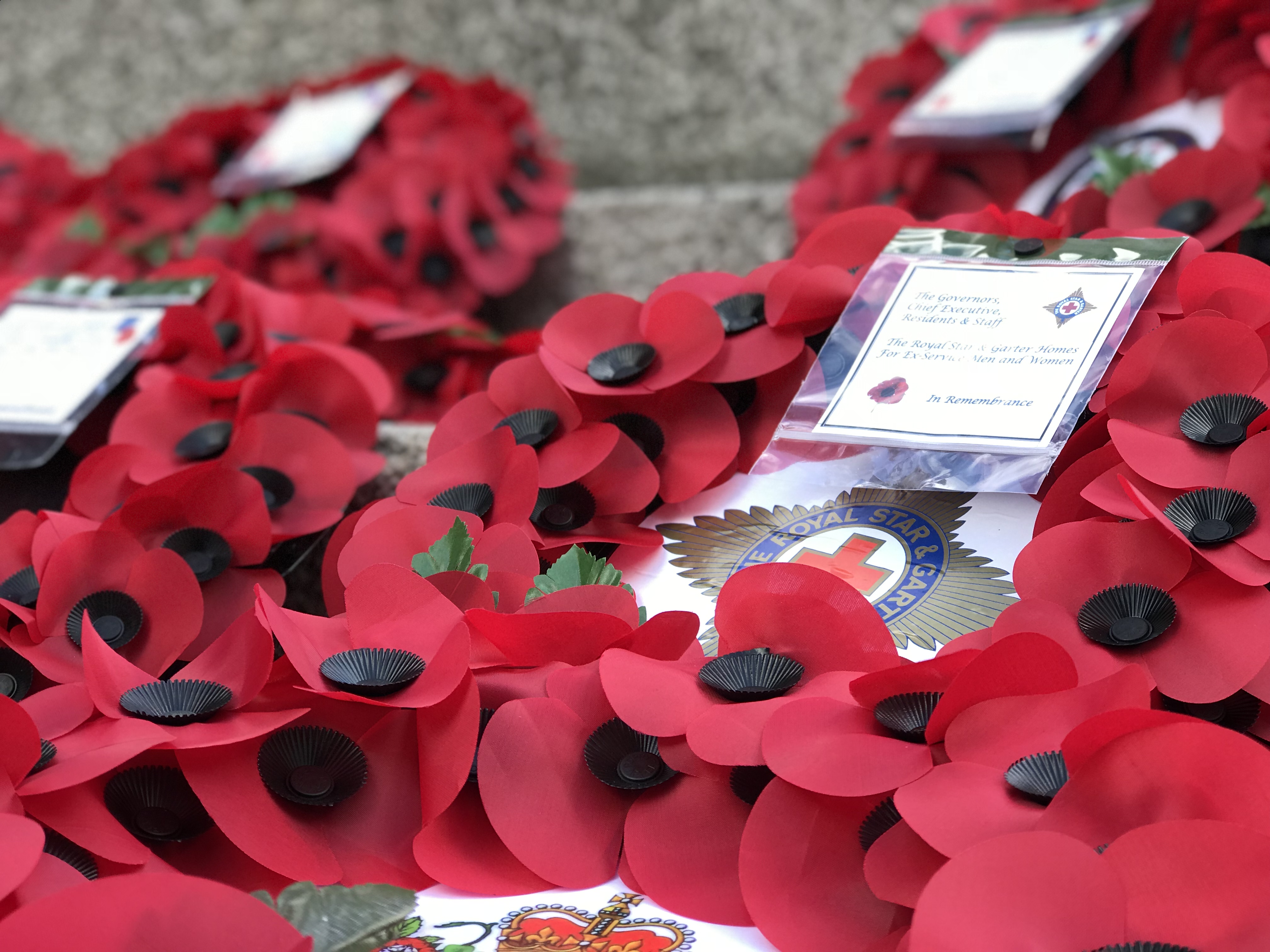 Remembrance Day Poppies