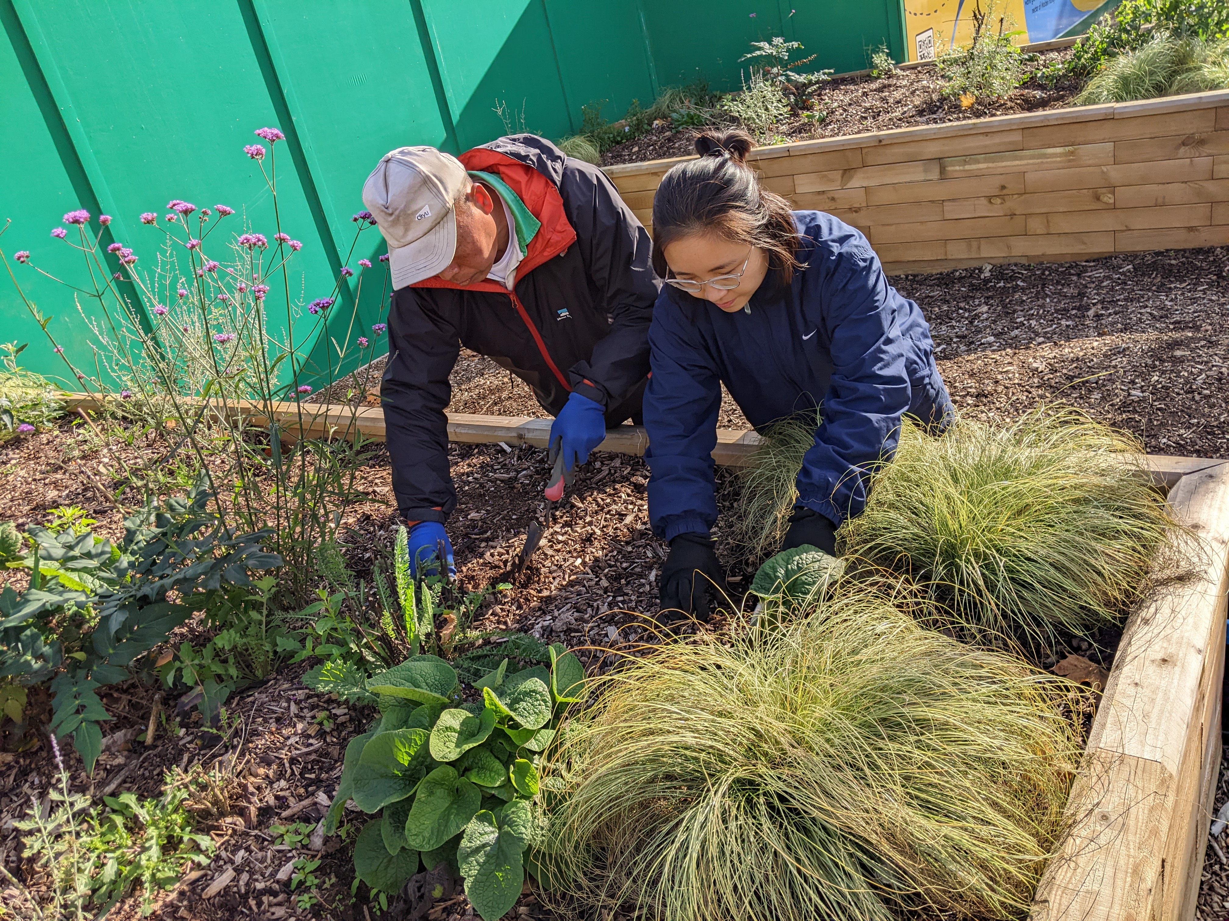 AuLaw farming at Jubilee Square