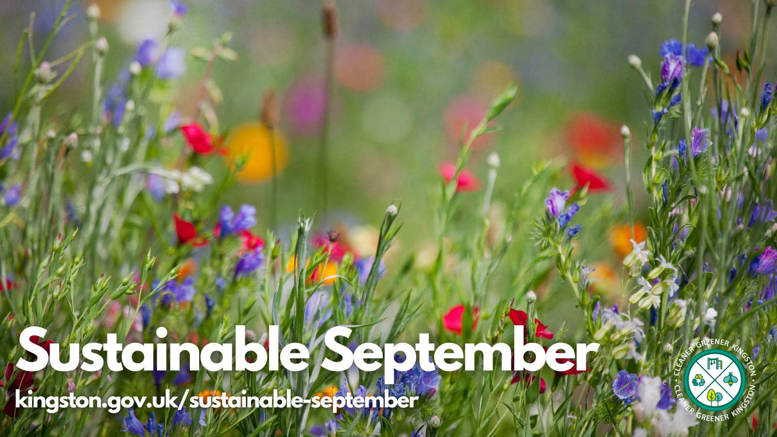 Sustainable September