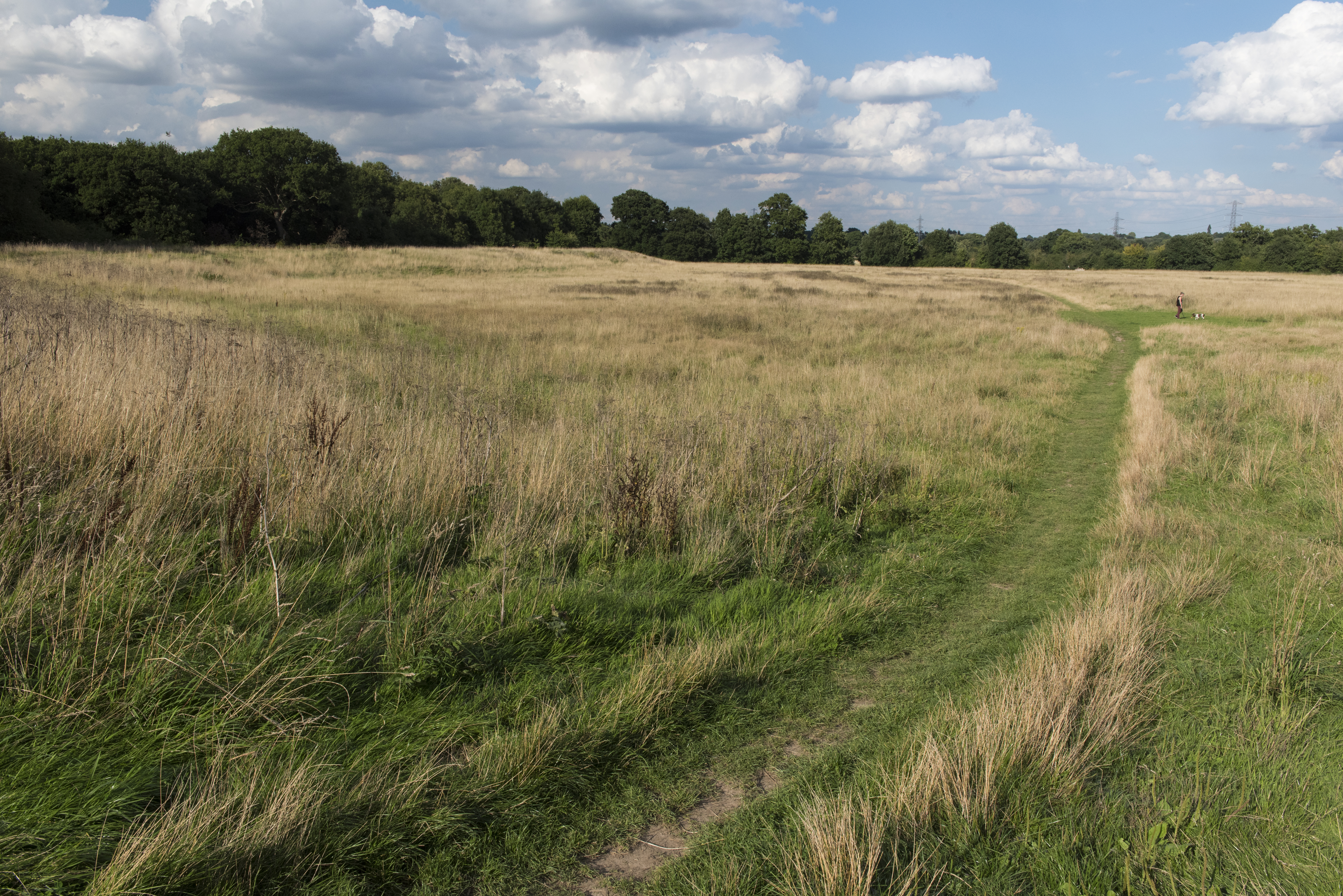 Tolworth court farm