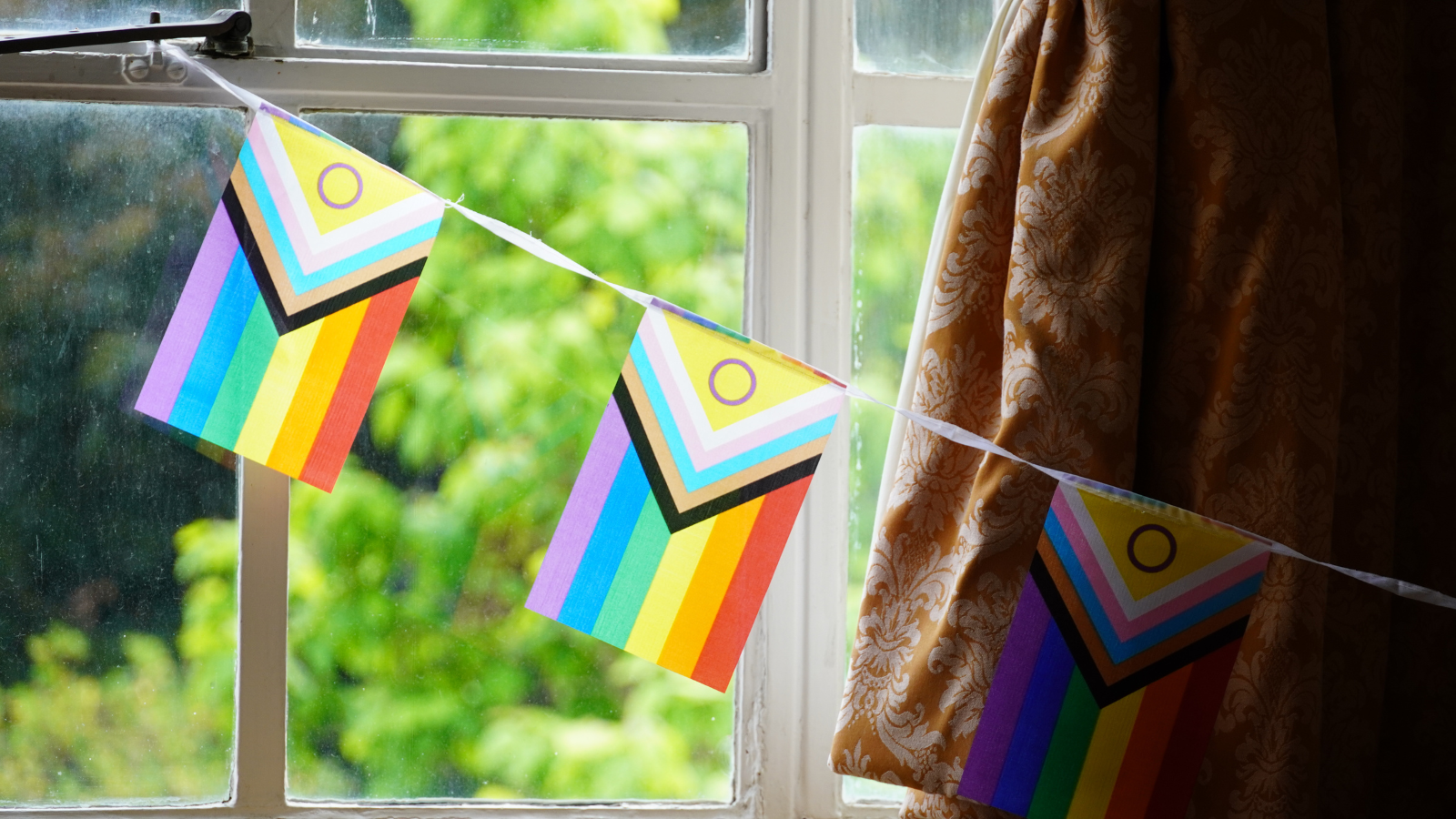 LGBTQIA flag