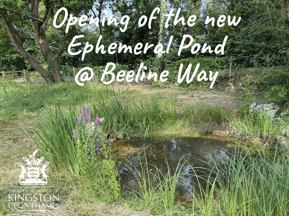 Beeline way pond