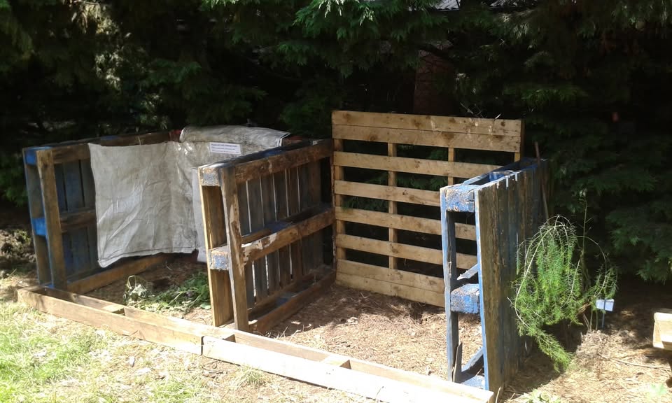 Wooden pallets which have been turned into a compost bins.