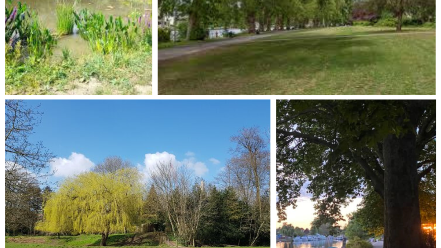 Canbury Gardens, Churchfields Recreation Ground and Fishponds Park