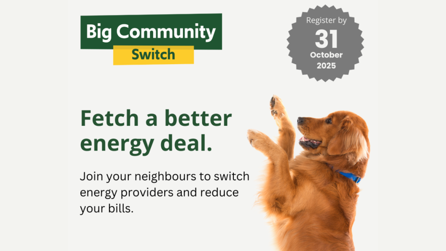 A golden retriever is fetching a better energy deal.